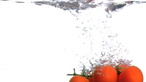 tomatoes falling into water in super slow motion