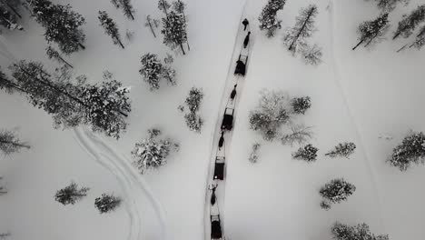 drone view of reindeer sleighride in saariselka, lapland, finland