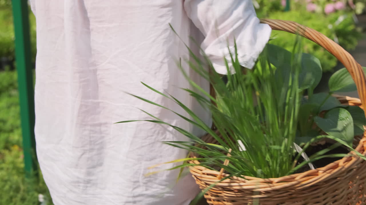 Plants in a basket