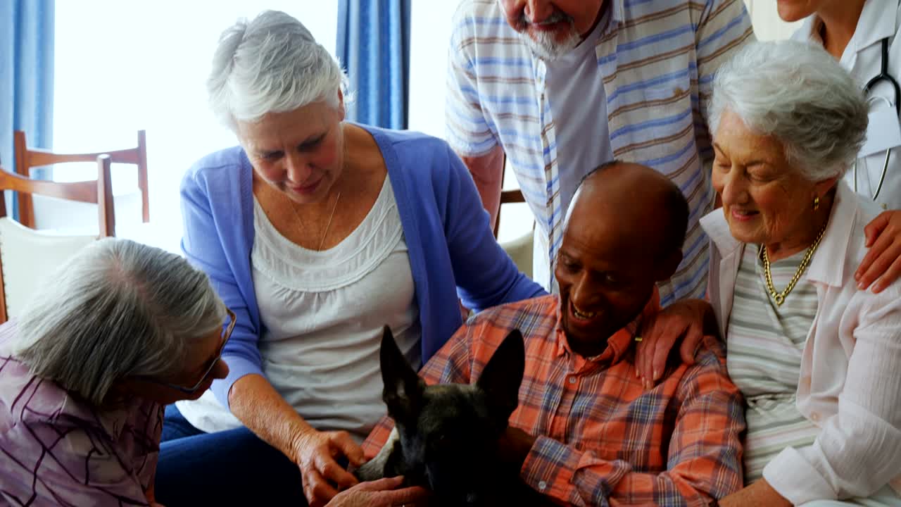 Amigos idosos acariciando um cachorro em lar de idosos 4k