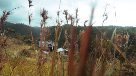 rising slow motion shot of the landscape on nusa penida an island of bali indonesia with view of the cornfield, meadow and historical wooden houses with the mountains in the background