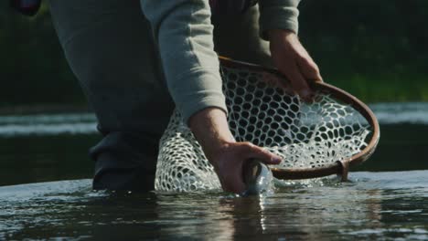 slow motion of a fisherman holding a fish he caught with a net in the background and he releases fish back into the water