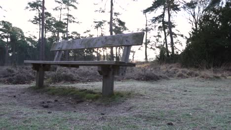 banco de madera en un bosque de invierno