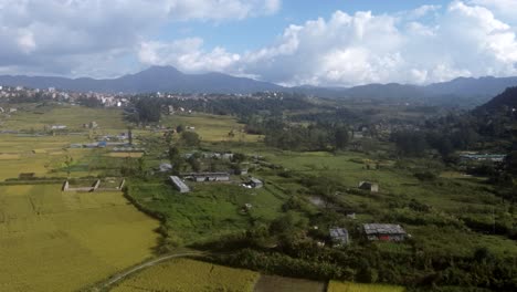 volando sobre las terrazas de arroz amarillo en las laderas de las colinas en nepal