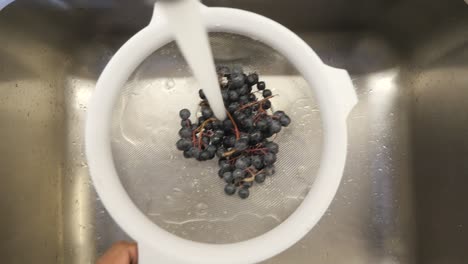washing grapes in a colander