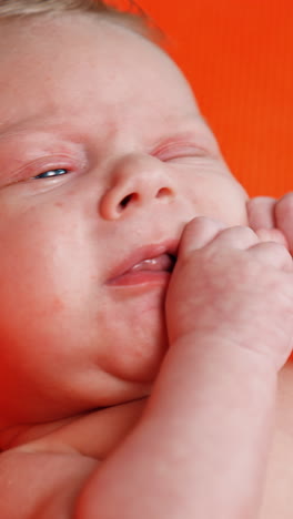 lovely caucasian blue-eyed blond infant. little baby moving hands and making faces. close up. vertical video