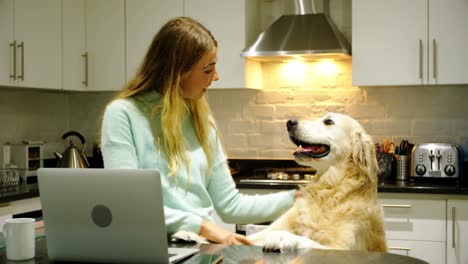 Mujer-Jugando-Con-Su-Perro-En-La-Cocina-4k