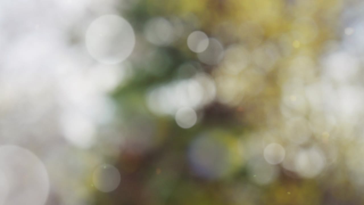 fondo de verano abstracto con bokeh