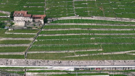 slow tracking shot of vineyards and freeway in swiss countryside