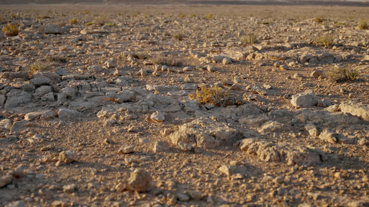 Dry bush tumbleweed rolling on open empty desert ground in hot summer day. Emptiness and desolation in ghost town or arid barren area without people or civilization. Wind blowing in the outdoors
