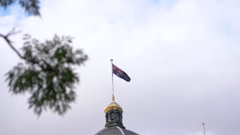 australian flag and birds flying by