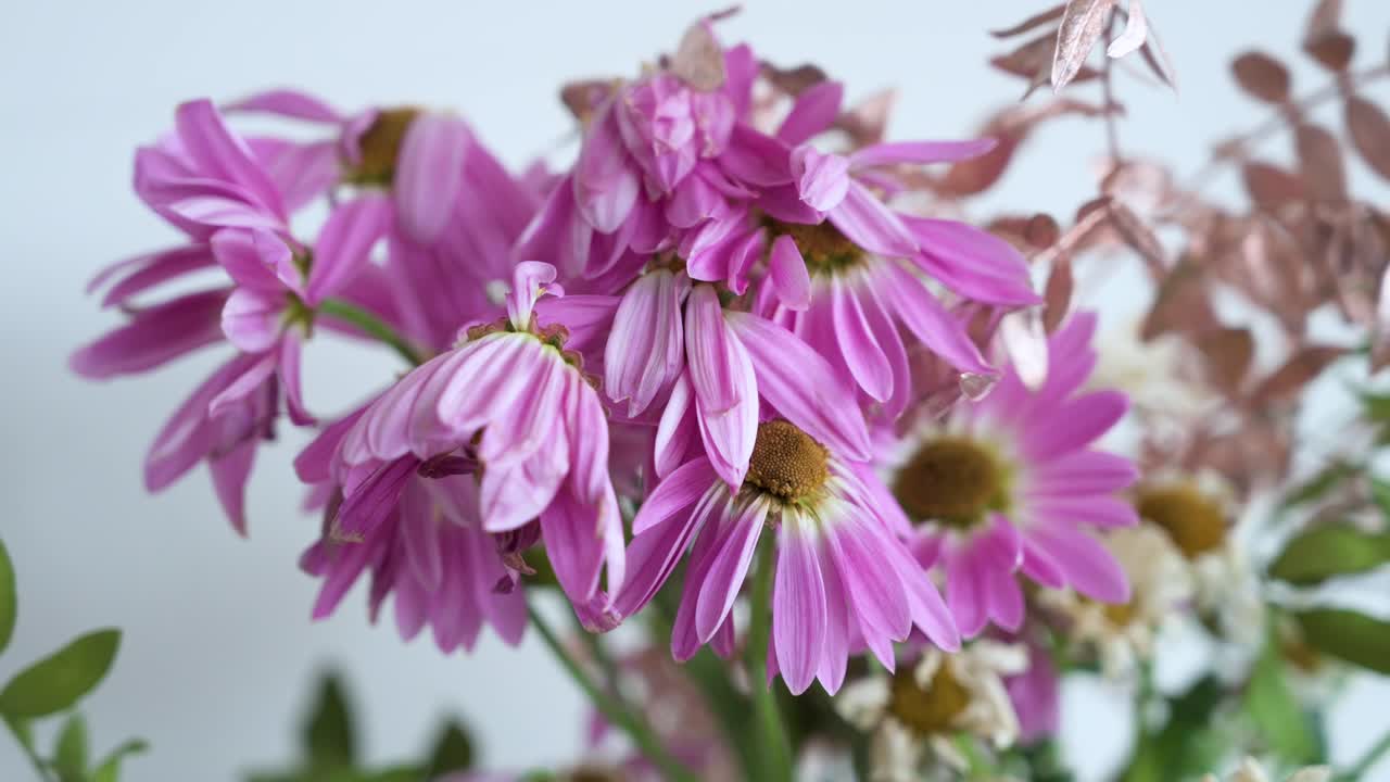 vista en primer plano de una boutique con una variedad de flores rosadas y blancas en descomposición