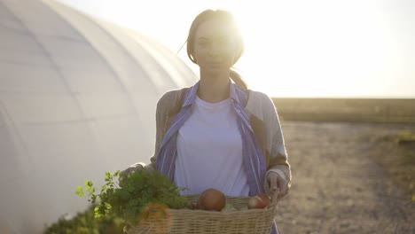 happy farmer showing basket with fresh harvested vegetables and smiling in camera on countryside