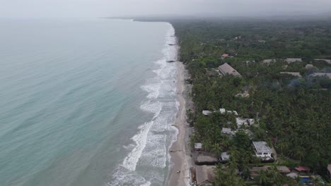 Aerial-view,-endless-strip-of-smooth-sand-and-palm-trees,-extensive-coast-of-Palomino