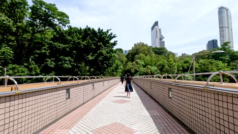 person walking on a sunny bridge path