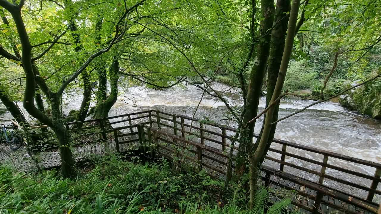 울창한 숲 잎사귀를 가로질러 급속히 흐르는 홍수 된  ⁇ 글리 숲 강