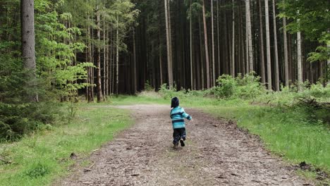 Niño-Huyendo-De-La-Cámara-En-Un-Bosque-Bávaro