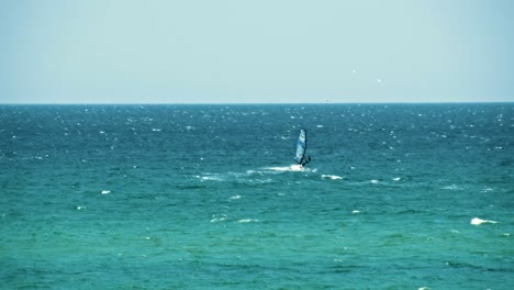 windsurfer on the ocean