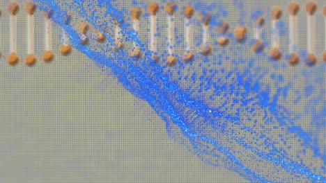 animación de manchas azules sobre la cadena de adn