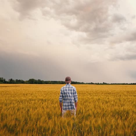 farmer in a field of wheat against the background of a stormy sky 1