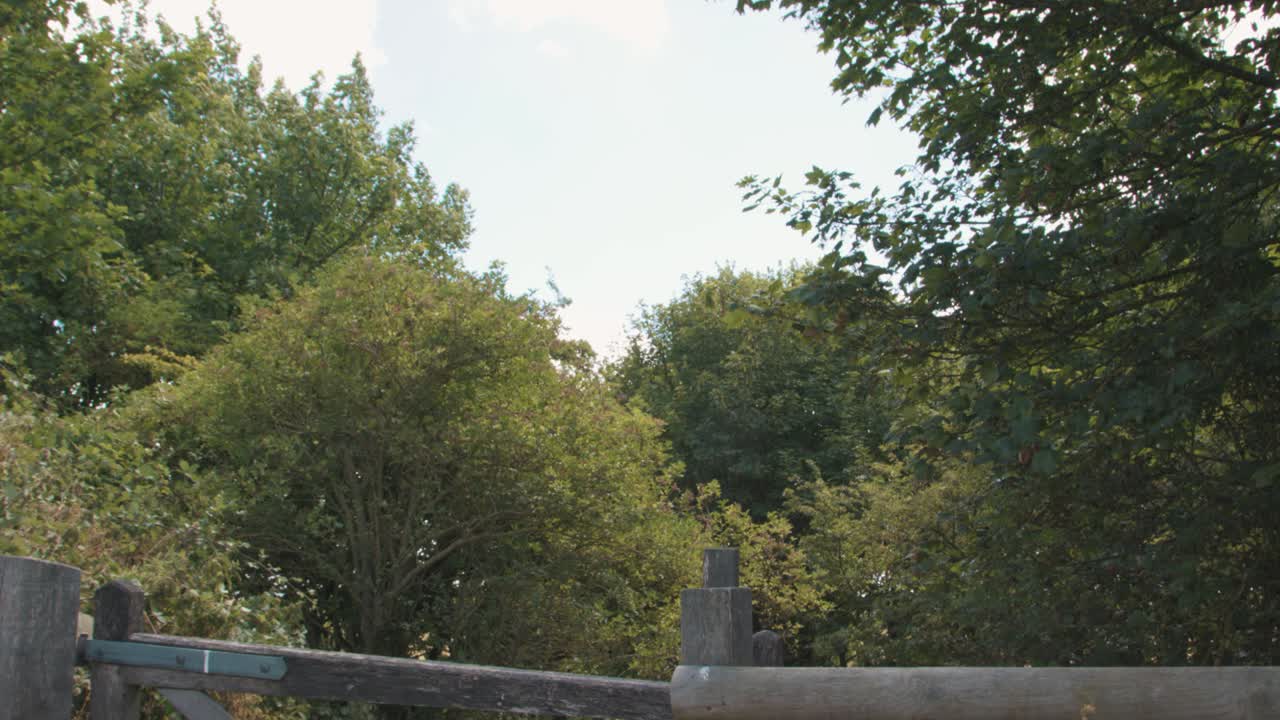 Trees Sway As The Wind Blows With Wooden Gate Near Countryside On Morning Breeze. - Static Shot