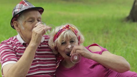 Family-weekend-picnic-in-park.-Senior-old-couple-sit-on-blanket-and-drink-wine.-Making-a-kiss.-Love