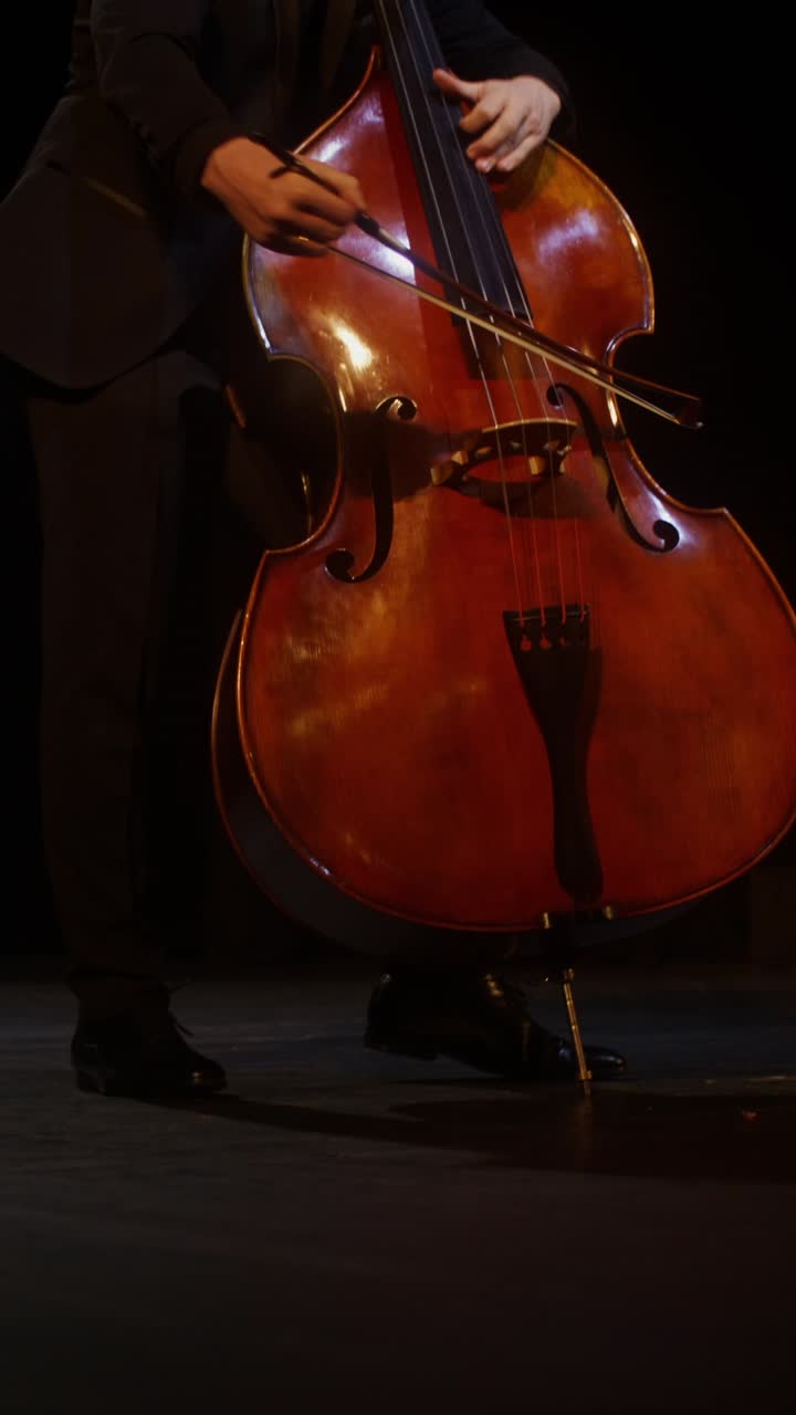 Double Bass Performance