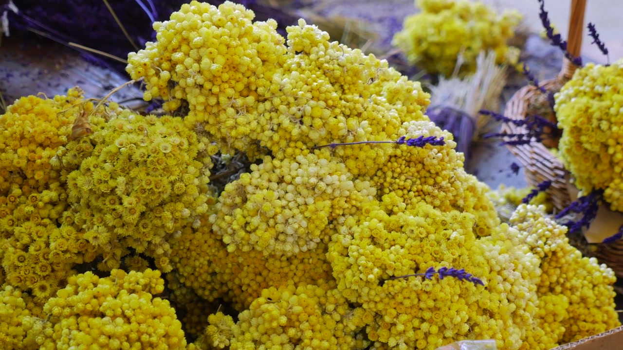 Bundles of Dried Yellow Helichrysum Flowers at a Market