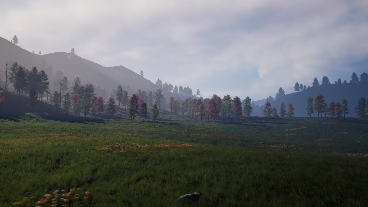 Swiss Alps with Green alpine meadow on a hillside and surrounded by pine forests
