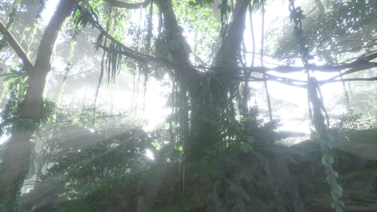 selva densa con la luz del sol filtrando a través del dosel de los árboles por la mañana