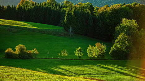 clearing of morning mist green hills and trees, sunrise shadows moving time lapse