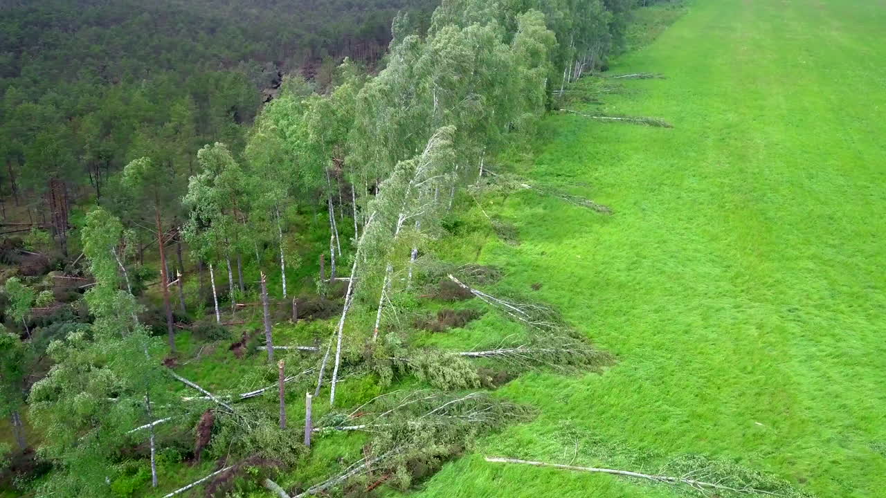 Tree line destroyed after strong winds in Northern Europe. Mainly birch and pine treed on the edge of a forest. Areal shoot  showing and revealing wind damage.