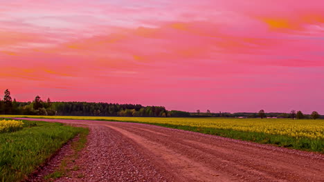 Lapso-De-Tiempo-Del-Cielo-De-Color-Rosa-Después-De-La-Puesta-Del-Sol-En-El-Campo-Agrícola-Rural-Con-Cultivo-De-Colza