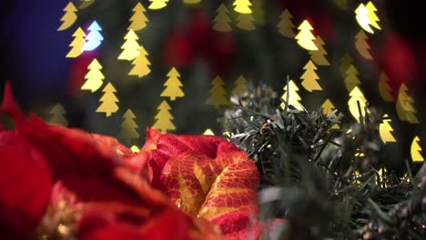 christmas decoration flower and leave with bokeh light