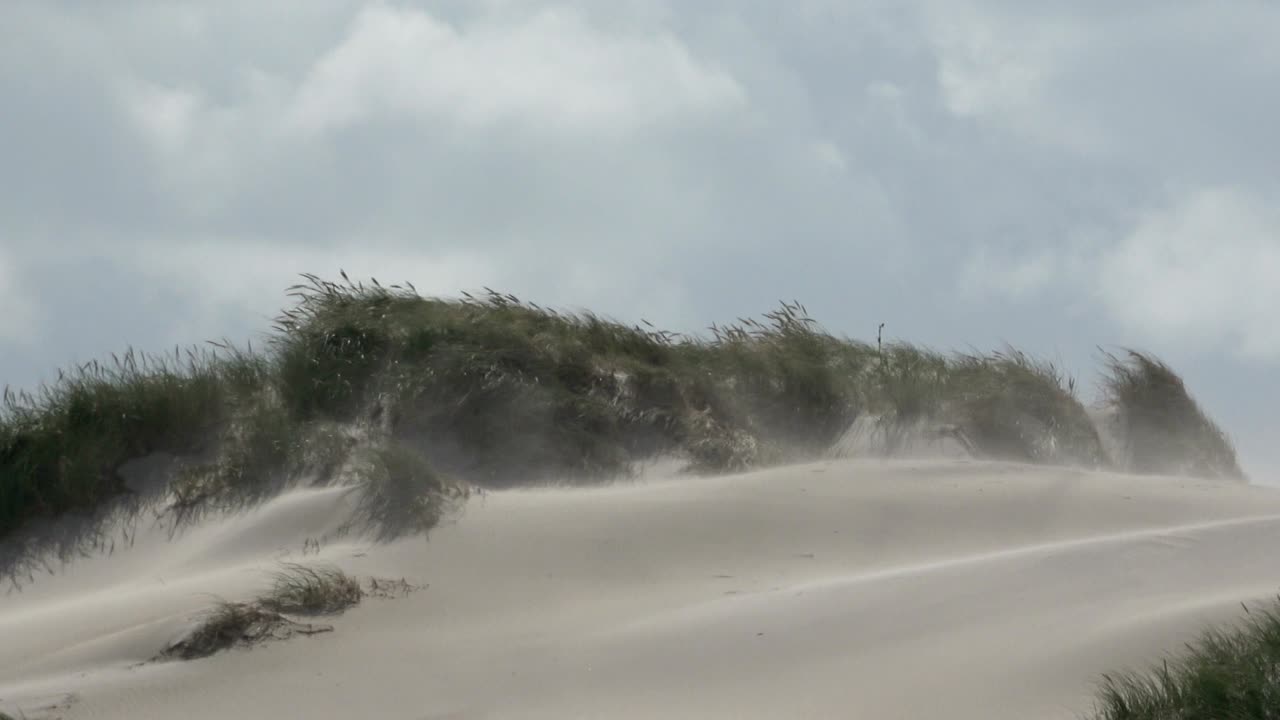dunas de arena con hierba de dunas en la tormenta del mar del norte, dunas de senderismo, protección de diques, sondervig, jutlandia, dinamarca, 4k