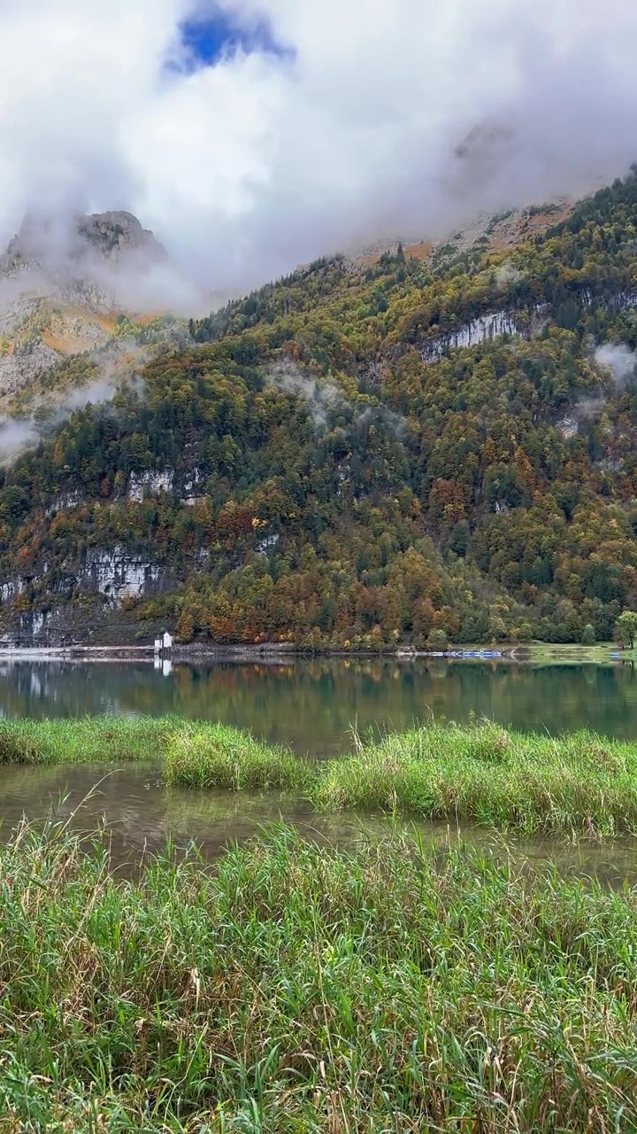 Video vertikal hutan daun campuran berwarna musim gugur di atas lembah danau Klöntalersee Klöntal di Swiss
