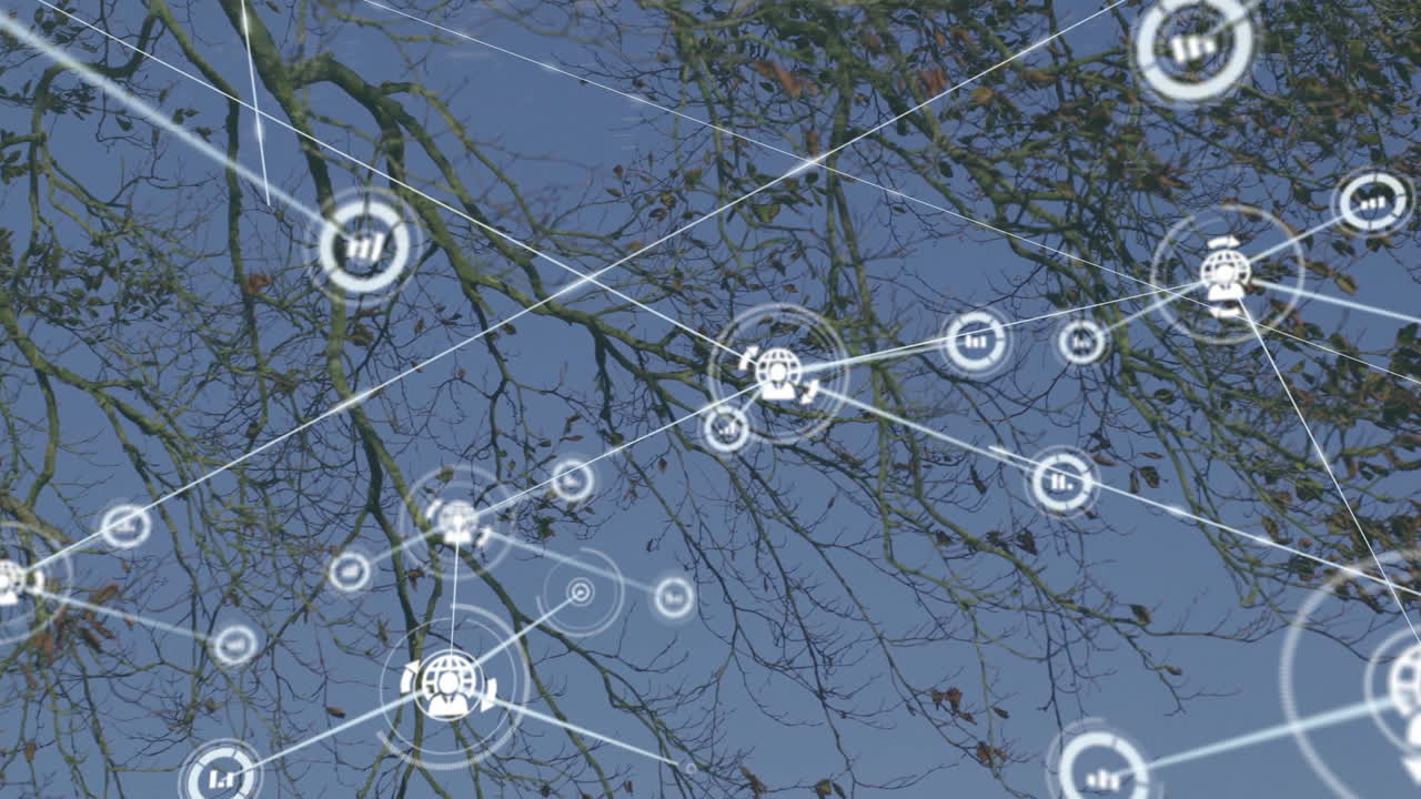 Digital animation of network connections over bare tree branches against blue sky