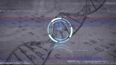 animación del reloj sobre la cadena de adn giratoria y el código binario