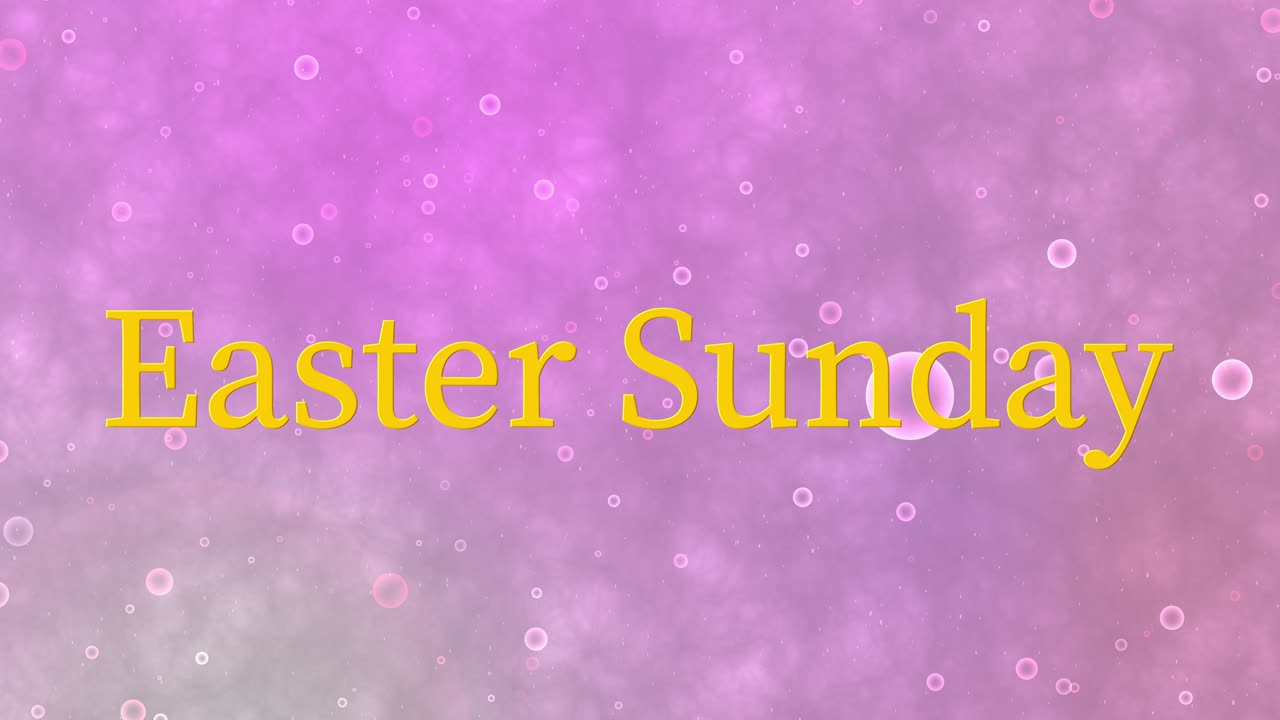 Domenica di Pasqua evento animazione testo motion graphics