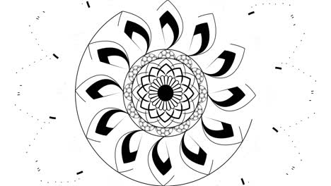 4k círculo animado dibujo de patrón de mandala en blanco y negro. artístico video clip gráfico dibujado a mano. perfecta transición 4k o introducción para cualquier programa de televisión, noticias o película. mejor para el diseño de escenario.