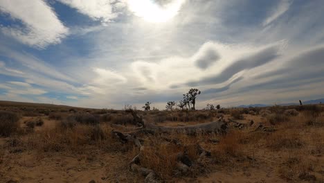 día caluroso y brumoso en el desierto de mojave con madera muerta en primer plano, cielo nublado y árboles de joshua en el fondo - lapso de tiempo de gran angular