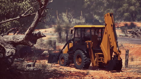 excavator tractor in bush forest