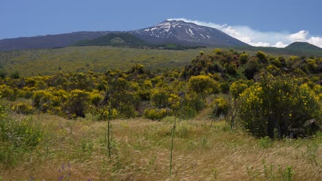 scenic landscapes around mt. etna, volcano in sicily, italy