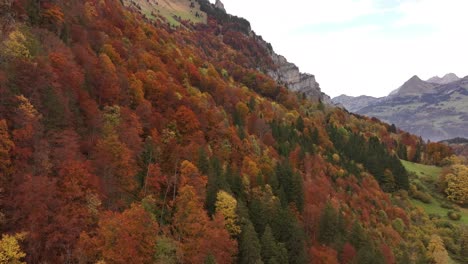 aerial drone footage pushes toward stunning view of autumn trees on mountainside above klöntalersee, glarus, switzerland.