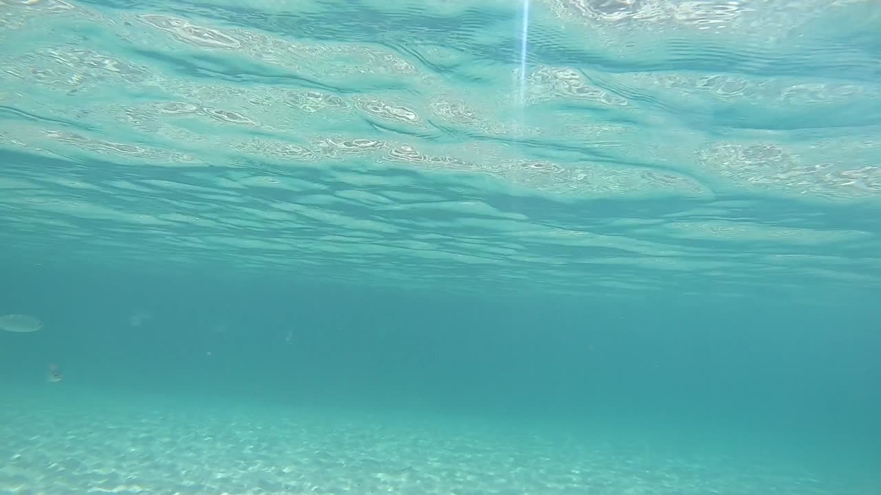 작은 물고기와 함께 깨한 물 에서, 푸른 바다를 통해 바다 물을 볼 수 있습니다.