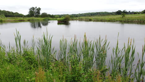 An-aerial-view-of-small-fishing-pools-in-the-Worcestershire-countryside,-ENgland