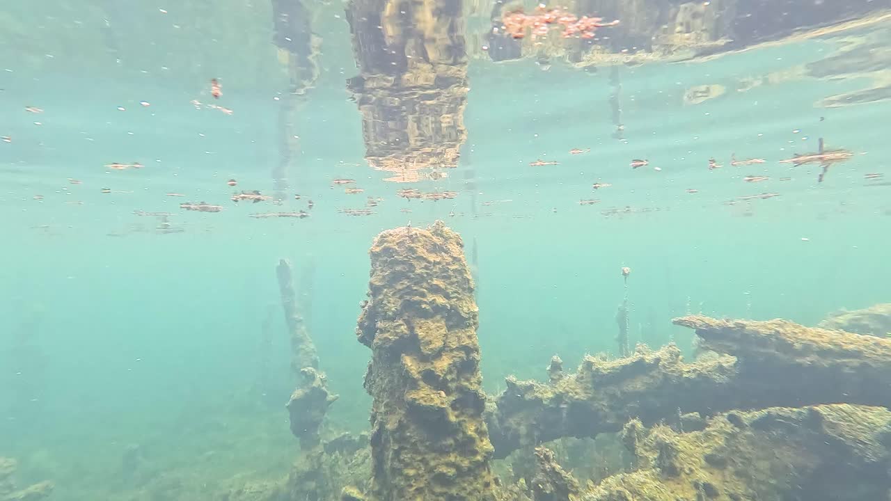 은 물은 물에 잠긴 뿌리와 잔해를 드러니다.