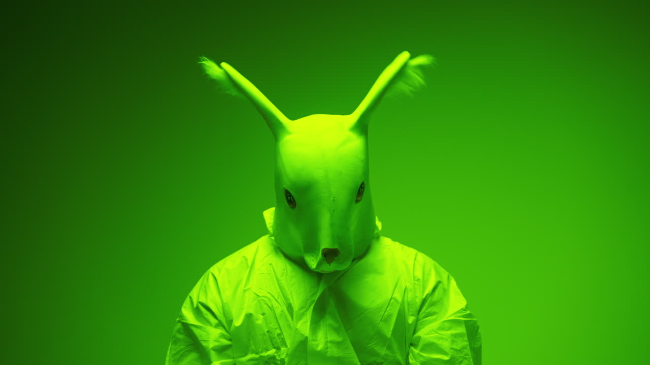 Person in a rabbit mask, neon green background
