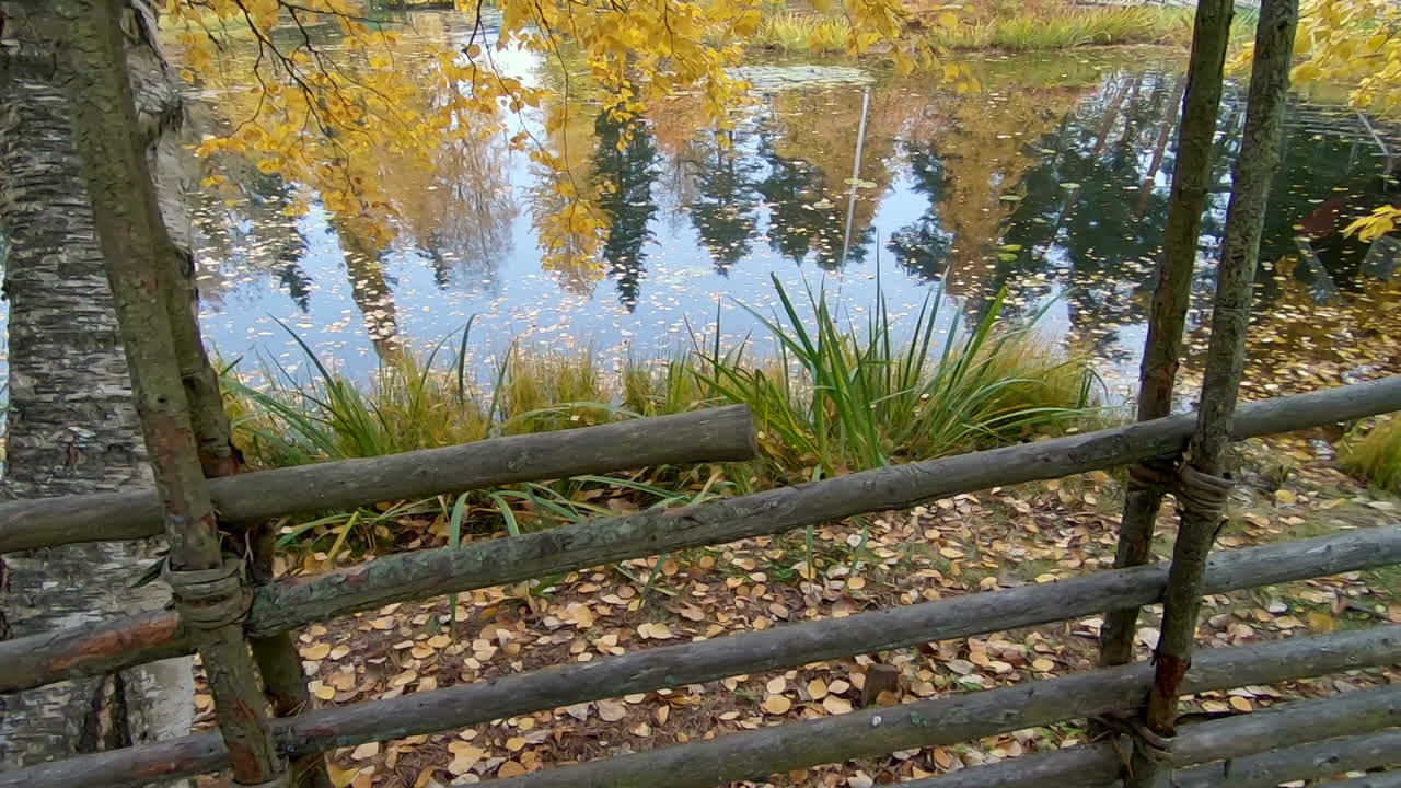 공원에 있는 오래된 빈티지 들판을 따라 걷다