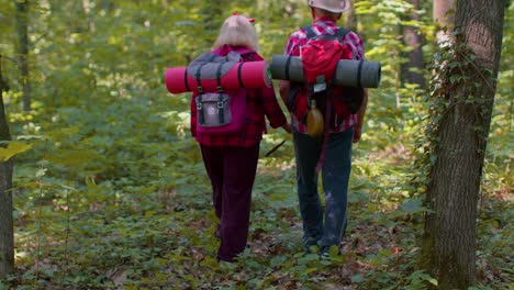 senior old grandmother grandfather tourists engaged in walking hiking with backpacks in summer wood